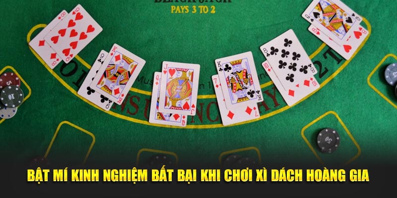 Bật mí kinh nghiệm bất bại khi chơi Xì Dách Hoàng Gia